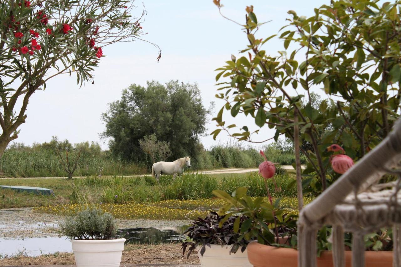 Mas Fandelou Bed & Breakfast Saintes-Maries-de-la-Mer Exterior photo