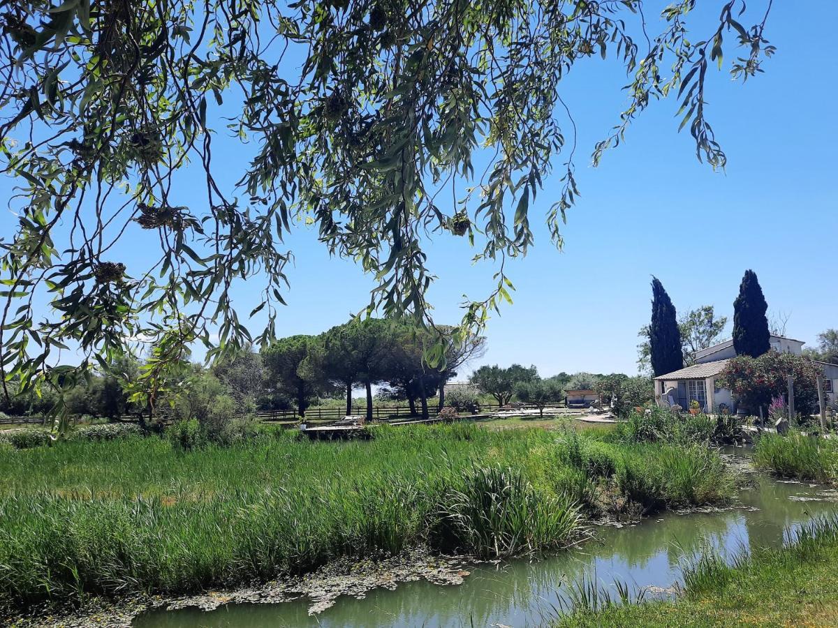 Mas Fandelou Bed & Breakfast Saintes-Maries-de-la-Mer Exterior photo